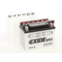 Akumulator Exide EB4L-B D+ 4Ah 50A(EN) 120x70x92 - YB4L-B