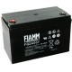Fiamm FG2A007 12V 100 Ah