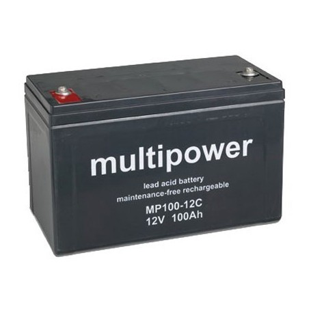 Multipower MP100-12C
